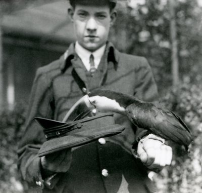 A Red-billed Toucan draws a ticket from a hat, held by keeper C. Hersey, London Zoo, 1923 by Frederick William Bond